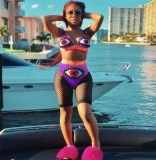 Purple Sexy Mesh Beach Bikini