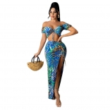 Blue Off-Shoulder V-Neck Women Sexy Printed Dress