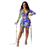 Blue Long Sleeve Mesh Printed Zipper V-Neck Bodycons Mini Dress