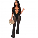 Black Sleeveless Deep V-Neck Mesh Women Sexy Jumpsuit