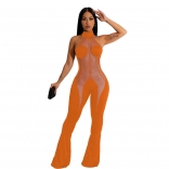 Orange Mesh Sexy Sleeveless Fashion Party Nights Dress