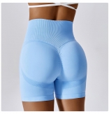 SkyBlue High Waist Yoga Shorts Seamless Cycling Gym Shorts Women