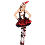 Halloween sexy Playboy Bunny dress