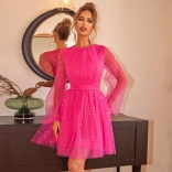 RoseRed Mesh Long Sleeve Shiny Fashion Women Cute Girl Skirt Dress