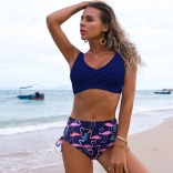 RoyalBlue High Waist Bird Printed Bikini Swimwear