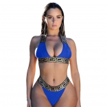 Blue Printed Women Sexy Bikini