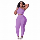 Purple Sleeveless One-Shoulder Mesh Sexy Jumpsuit With Chians Halter