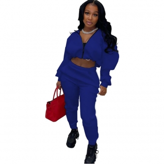 Blue Long Sleeve Zipper V-Neck 2PCS Women Fashion Sport Dress