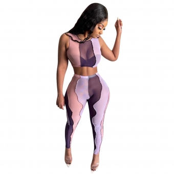 Purple Sleeveless Mesh Printed 2PCS Women Party Jumpsuit