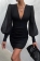 Black Mesh Long Sleeve V-Neck Bodycon Women Mini Dress