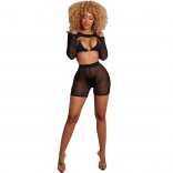 Black Mesh Long Sleeve Sexy Women Party Dress Set With Underwear