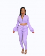 Purple Long Sleeve Zipper V-Neck Bodycon Sexy Jumpsuit
