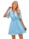 Blue Short Sleeve Mesh Chiffion Women Skirt Dress