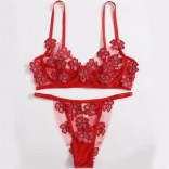 Red Women's Sexy Perspective Erotic Lingerie Embroidery Underwire Bra Sets