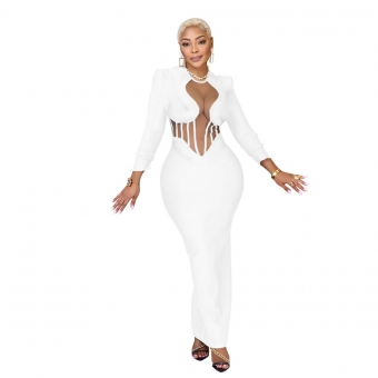 White Women's Long Sleeve Mesh See-through Bodycon Evening Prom Long Dress