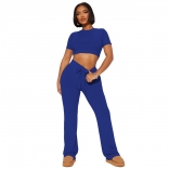 Blue Striped Short Sleeve Crop Tops Two Piece Slim Casual Pant Sets