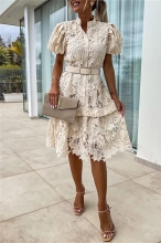 Beige Short Sleeve Lace Embroidery Button Fashion Skirt Dress with Belt