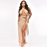 Beige Hollow Out Snatched Nets Sexy Sexy Party Long Dress