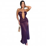 Purple Sleeveless Deep V Neck Mesh Pleated See Through Slit Prom Evening Maxi Dress